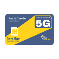 DataMax Plastic SIM