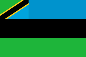 SIM card Zanzibar